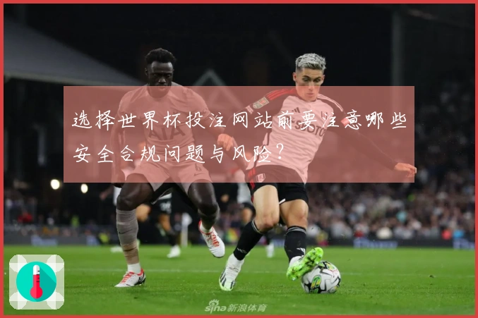 选择世界杯投注网站前要注意哪些安全合规问题与风险？