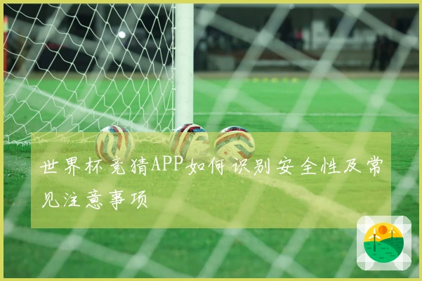世界杯竞猜APP如何识别安全性及常见注意事项