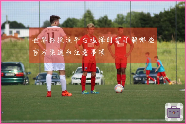 世界杯投注平台选择时需了解哪些官方渠道和注意事项